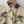 Botanical Pattern Blouseを表示
